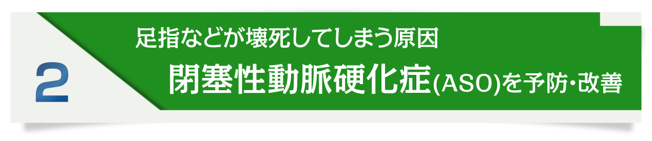 足指などが壊死してしまう原因「閉塞性動脈硬化症（ＡＳＯ）」を予防・改善