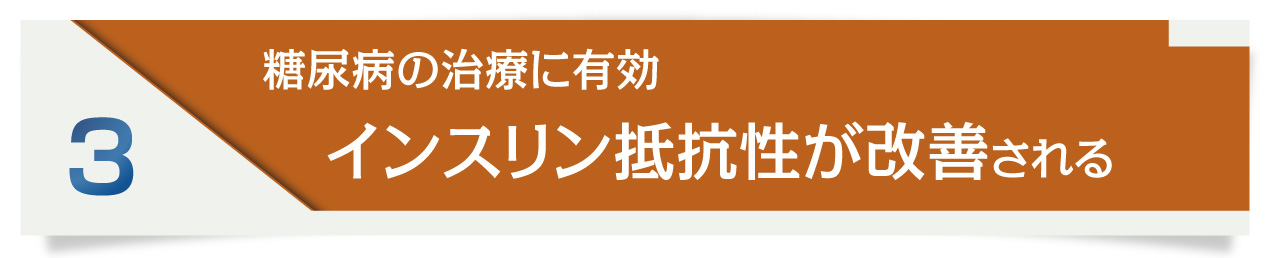 糖尿病の治療に有効。インスリン抵抗性が改善される