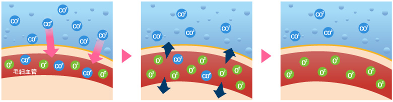 炭酸泉による血管拡張イメージ図