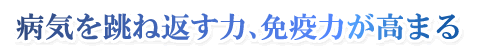 病気を跳ね返す力、免疫力が高まる